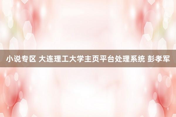 小说专区 大连理工大学主页平台处理系统 彭孝军