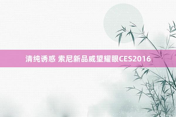 清纯诱惑 索尼新品威望耀眼CES2016