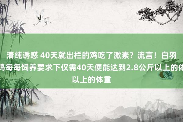 清纯诱惑 40天就出栏的鸡吃了激素？流言！白羽肉鸡每每饲养要求下仅需40天便能达到2.8公斤以上的体重