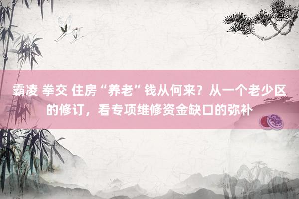 霸凌 拳交 住房“养老”钱从何来？从一个老少区的修订，看专项维修资金缺口的弥补