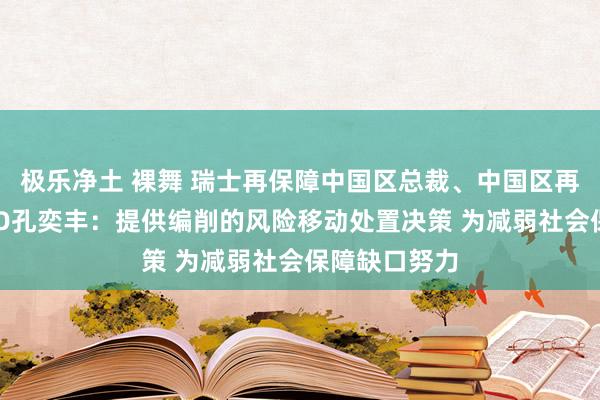 极乐净土 裸舞 瑞士再保障中国区总裁、中国区再保障业务CEO孔奕丰：提供编削的风险移动处置决策 为减弱社会保障缺口努力