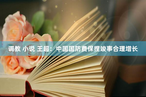 调教 小说 王超：中国国防费保捏竣事合理增长