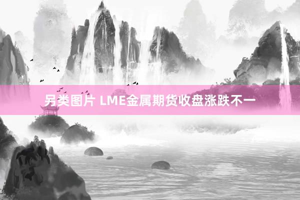 另类图片 LME金属期货收盘涨跌不一