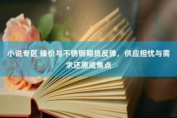 小说专区 镍价与不锈钢期货反弹，供应担忧与需求还原成焦点
