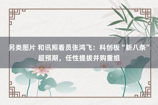 另类图片 和讯照看员张鸿飞：科创板“新八条”超预期，任性提拔并购重组