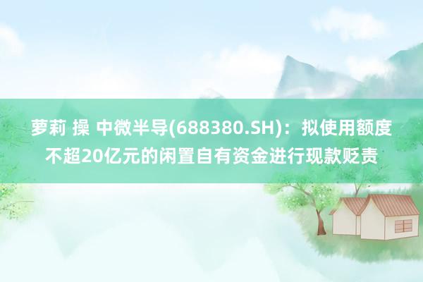 萝莉 操 中微半导(688380.SH)：拟使用额度不超20亿元的闲置自有资金进行现款贬责